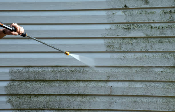 Best Gutter Cleaning  in Huntington Woods, MI
